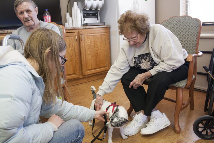 Puppy therapy brings students to nursing home