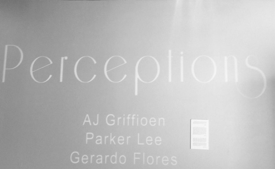 Griffioen%2C+Lee%2C+and+Flores+build+perceptions+through+their+senior+show