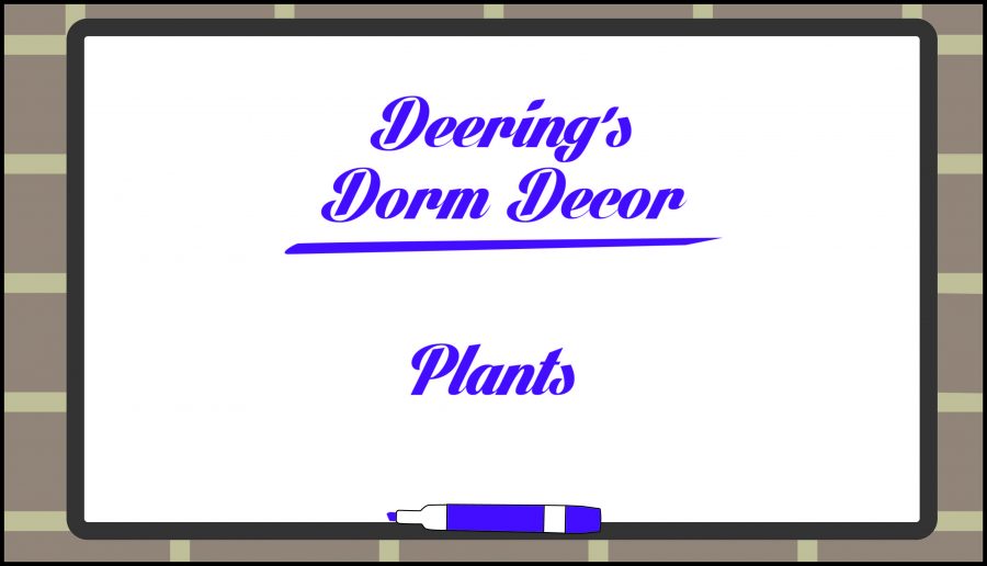 Deerings Dorm Decor: Plants