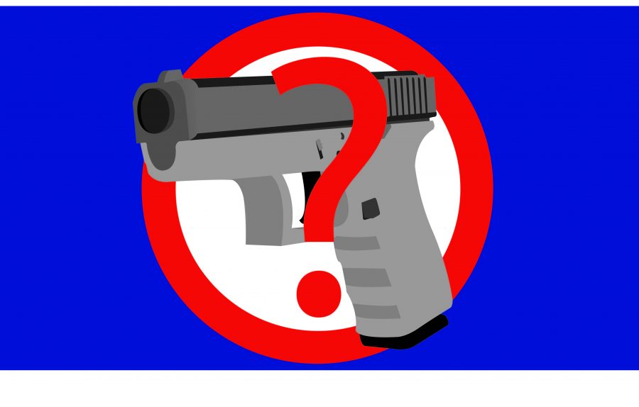 Gun Violence and Gun Control: What is the answer?