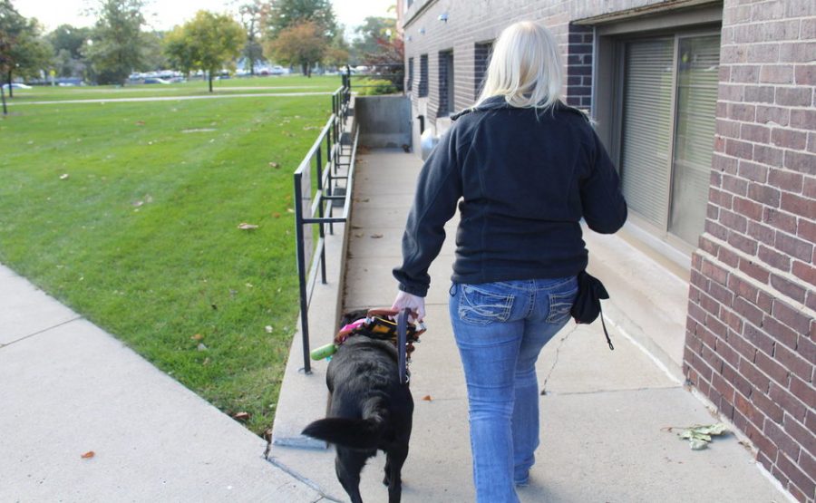 A guide of love: the bond between a service dog + a freshman in college