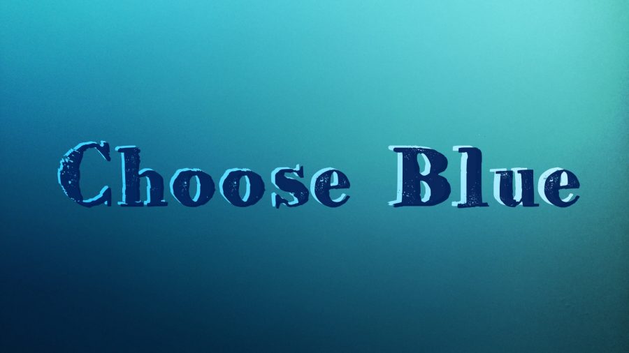 Choose Blue for Autism