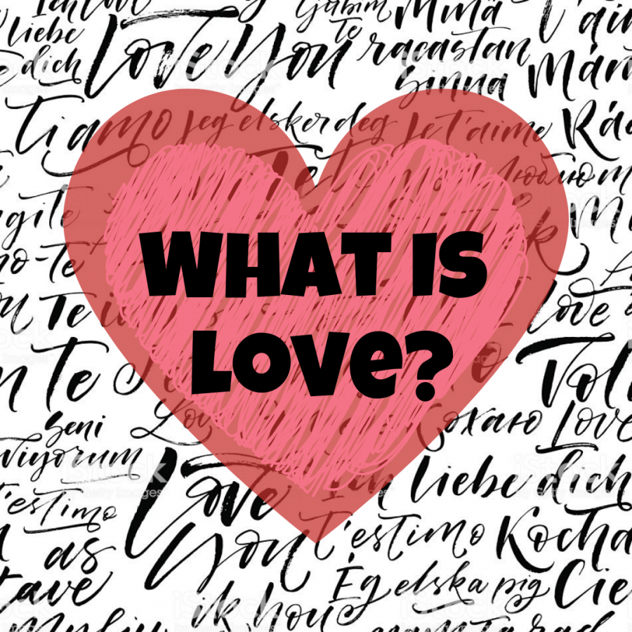 What+is+Love%3F