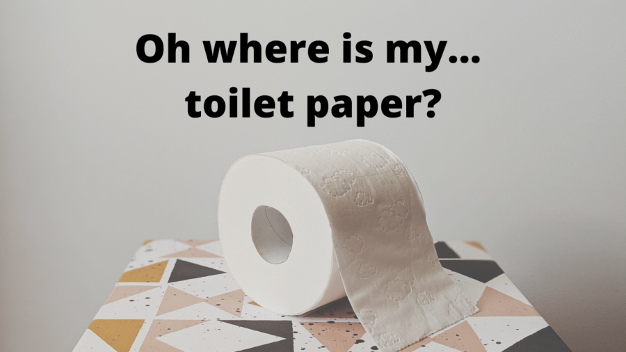 Toilet+Paper+Disappearing+Act