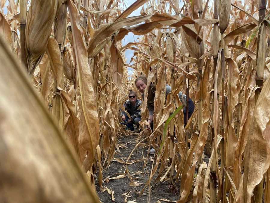 BVU+Ag+Club+Celebrates+One+Year+Harvest