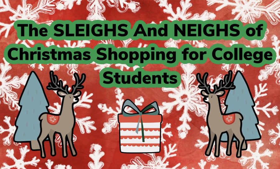 The SLEIGHs and NEIGHs of Christmas Shopping for College Students
