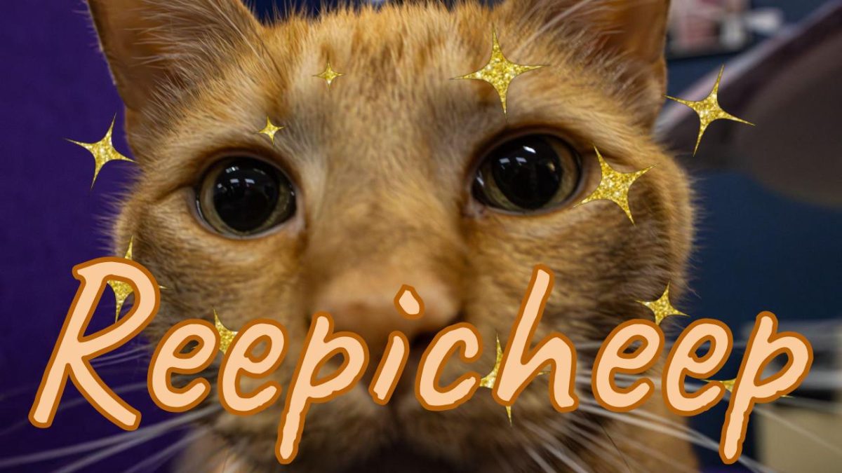 Reepicheep: The cat that brings down barriers