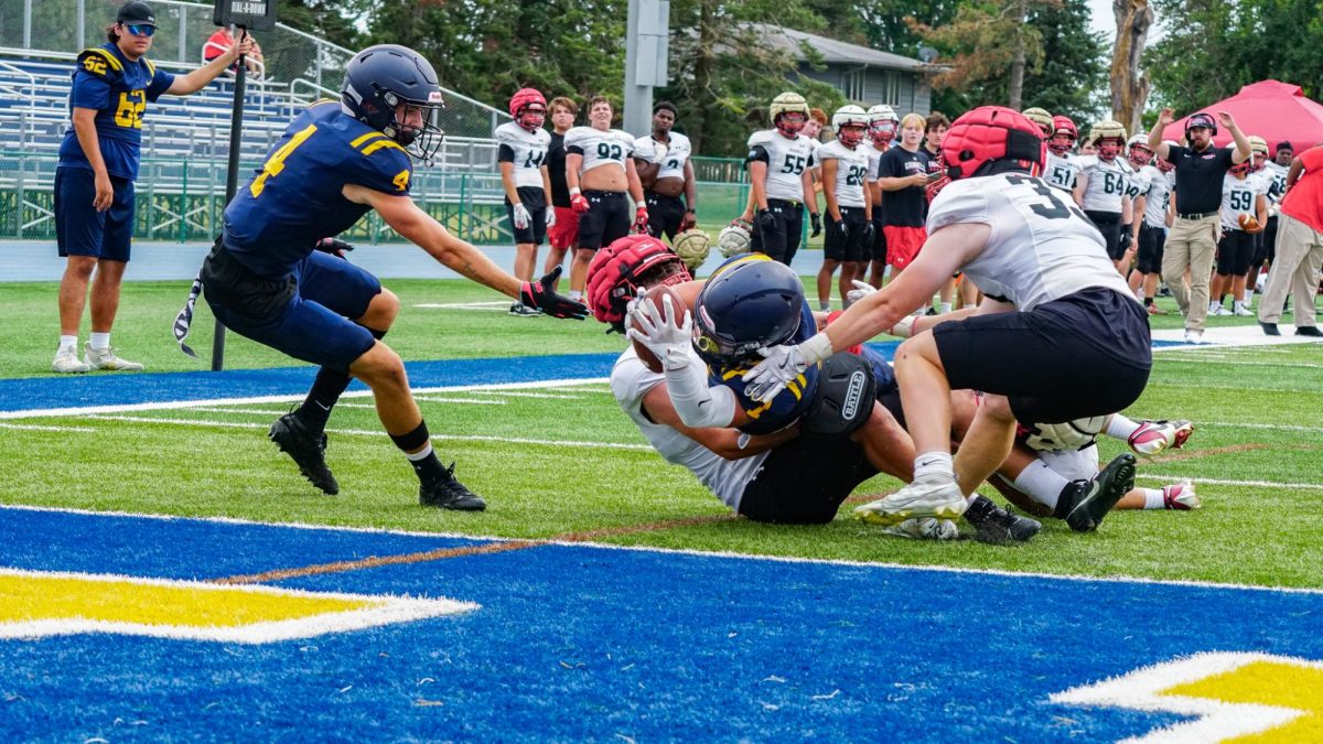 Wide receiver Dolan Pospichal (7) reaches for the end zone after matching the catch.
